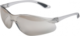 Wraparound Safety Glasses - Indoor/Outdoor