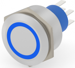 Switch, 2 pole, silver, illuminated  (blue), 3 A/250 VAC, mounting Ø 25.2 mm, IP67, 2-2317656-9