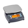 FPB 3K-4 Kern Weighing Scales