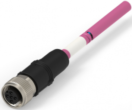 Sensor actuator cable, M12-cable socket, straight to open end, 5 pole, 8 m, PUR, purple, 4 A, TAA753A5501-080