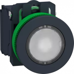 XB5FW31B5 Schneider Electric Actuators, Signal Elements and Front Elements