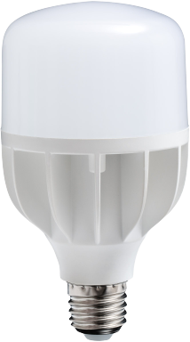 E15800 Daylight Light Bulbs, Lamps