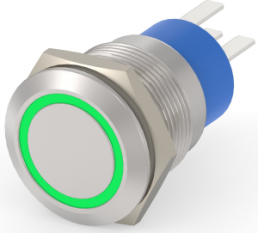 Switch, 1 pole, silver, illuminated  (green), 5 A/250 VAC, mounting Ø 19.2 mm, IP67, 1-2213767-3