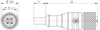 18917 Lumberg Automation Sensor-Actuator Cables Image 2