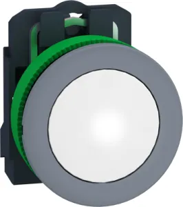 XB5FVG1C0 Schneider Electric Actuators, Signal Elements and Front Elements