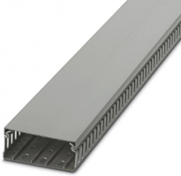 Wiring duct, (L x W x H) 2000 x 100 x 40 mm, PVC, gray, 3240279