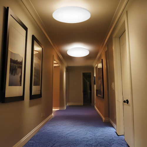 ELED300260 Enovalite Luminaires and Light Fixtures Image 3