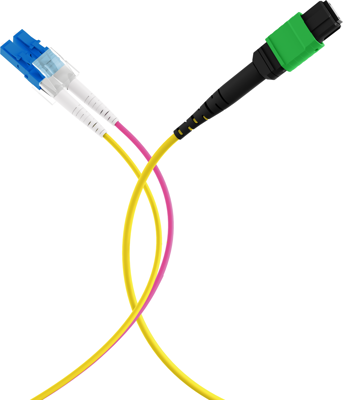 MTPF08LCOS2-3 EFB-Elektronik Fiber Optic Patch Cables, Pigtails Image 5
