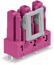 Socket, 3 pole, spring-clamp connection, pink, 770-883/081-000