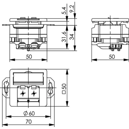 100022957 Telegärtner Accessories for Network Connectors Image 2