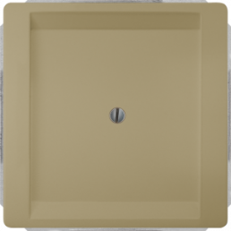 DELTA style blanking cover plate, gold