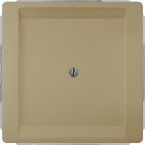 DELTA style blanking cover plate, gold