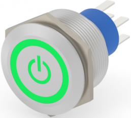 Switch, 2 pole, silver, illuminated  (green), 3 A/250 VAC, mounting Ø 23.7 mm, IP67, 2-2317658-9