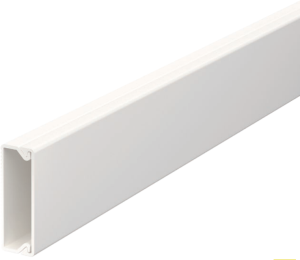 Cable duct, (L x W x H) 2000 x 30 x 10 mm, PVC, pure white, 6150780