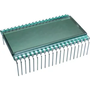 DE 113-RS-20/12,2 Display Elektronik LED-Modules