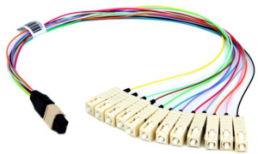 Patch cable kit, MT/MPO to LC, 0.5 m, OM4, multimode 50/125 µm