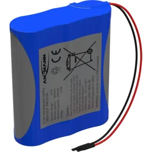 2447-3031-60 Ansmann Rechargeable Battery Packs