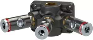 107579 Riegler Fittings and Accessories