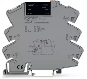 857-717 WAGO Coupling Relays
