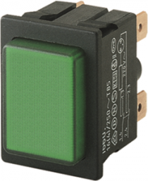 Pushbutton switch, 2 pole, green, illuminated  (green), 16 (4) A/250 VAC, IP40, 1660.0202
