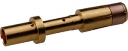 Receptacle, 4.0 mm², AWG 12, crimp connection, gold-plated, 44429325