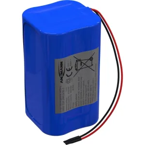 2447-3049-40 Ansmann Rechargeable Battery Packs