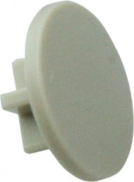 Extension plunger, round, Ø 10 mm, (L x H) 4.75 x 10 mm, white, for single pushbutton, 5.46.011.036/0710