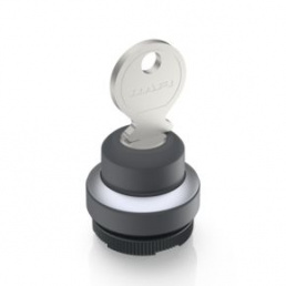 RAFIX 22 FS+, compact keylock switch, round collar, frontring metallic silver, 1 x 40°, momentary co