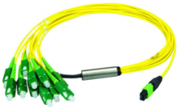 FO cable, MT/MPO to LC, 1 m, OS2, singlemode 9/125 µm