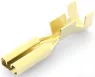 170042-1 AMP Receptacles