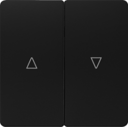 DELTA i-system rocker double with shutter/blind Up/Down symbols, soft black
