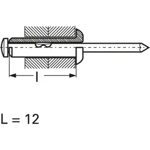 300153784 Rivets, Dowels