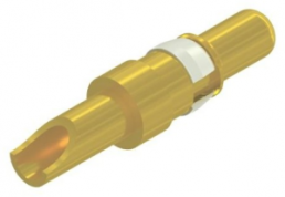 Pin contact, AWG 14-12, crimp connection, gold-plated, 131A10029X