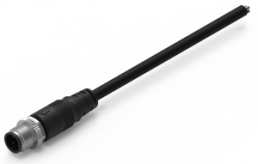 Sensor actuator cable, M12-cable plug, straight to open end, 4 pole, 2 m, PVC, black, 5 A, 643612120304