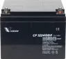 CP1224D VISION Lead-Acid Batteries, Lithium-Ion Batteries