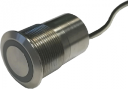 Pushbutton, 1 pole, silver, illuminated  (red/green), 0.5 A/24 V, mounting Ø 22 mm, IP68, PTS22DCMCF5N