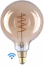 SHELLY G125 Shelly Light Bulbs, Lamps
