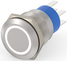 Switch, 2 pole, silver, illuminated  (white), 5 A/250 VAC, mounting Ø 19.2 mm, IP67, 4-2213764-3
