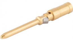 Pin contact, 0.14-0.37 mm², crimp connection, gold-plated, 13162500