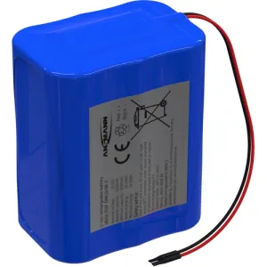 2447-3050-60 Ansmann Rechargeable Battery Packs