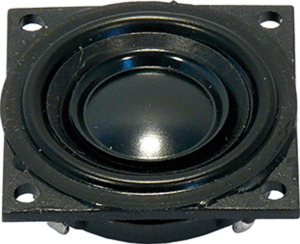 Small speaker, 8 Ω, 74 dB, 300 Hz to 19 kHz, black
