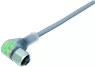 77 3834 0000 20004-0200 binder Sensor-Actuator Cables