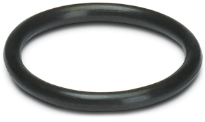 O-ring for M10, 3241187