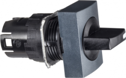 Selector switch, latching, waistband rectangular, front ring black, 2 x 60°, mounting Ø 16 mm, ZB6DD22
