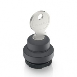 RAFIX 22 FS+, compact keylock switch, round collar, frontring slate gray, 1 x 90°, shape V, latching
