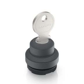 RAFIX 22 FS+, compact keylock switch, round collar, frontring slate gray, 2 x 40°, momentary contact