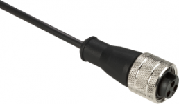 Sensor actuator cable, cable socket to open end, 3 pole, 2 m, PUR, black, 6 A, XZCP1662L2