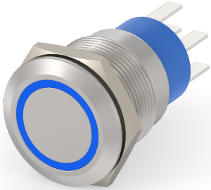 Switch, 2 pole, silver, illuminated  (blue), 5 A/250 VAC, mounting Ø 19.2 mm, IP67, 5-2213764-7