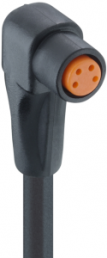 Sensor actuator cable, M8-cable socket, angled to open end, 4 pole, 10 m, PVC, black, 4 A, 0805F1 04 002 10M