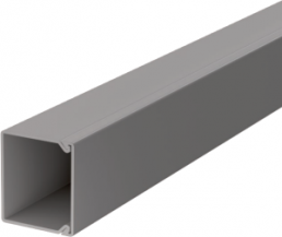 Cable duct, (L x W x H) 2000 x 30 x 30 mm, PVC, stone gray, 6026818